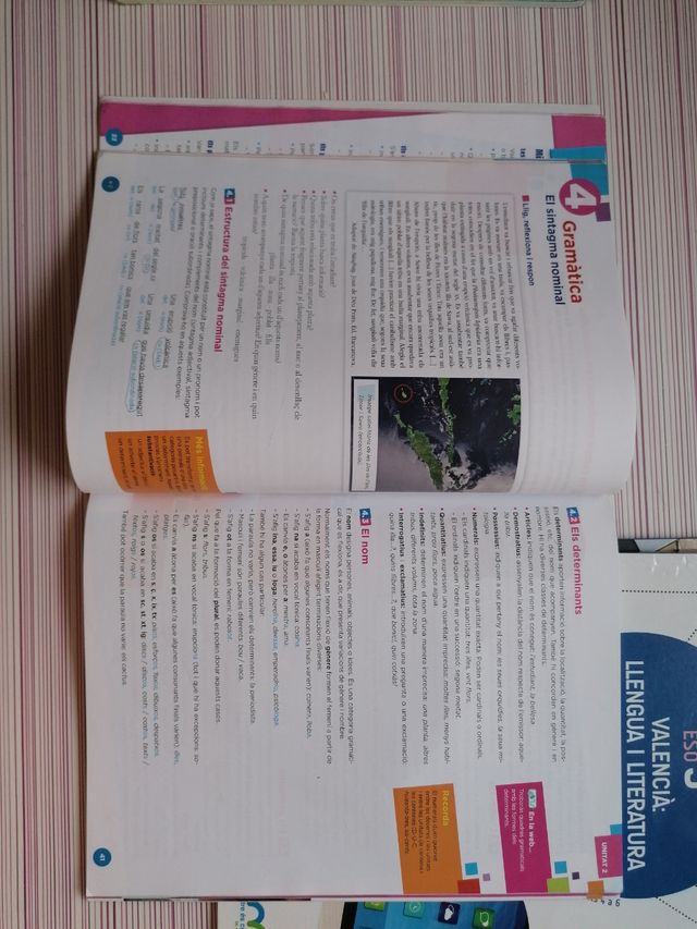 Valencia: llengua i literatura