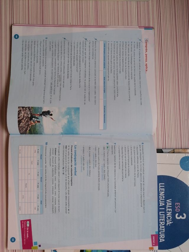 Valencia: llengua i literatura