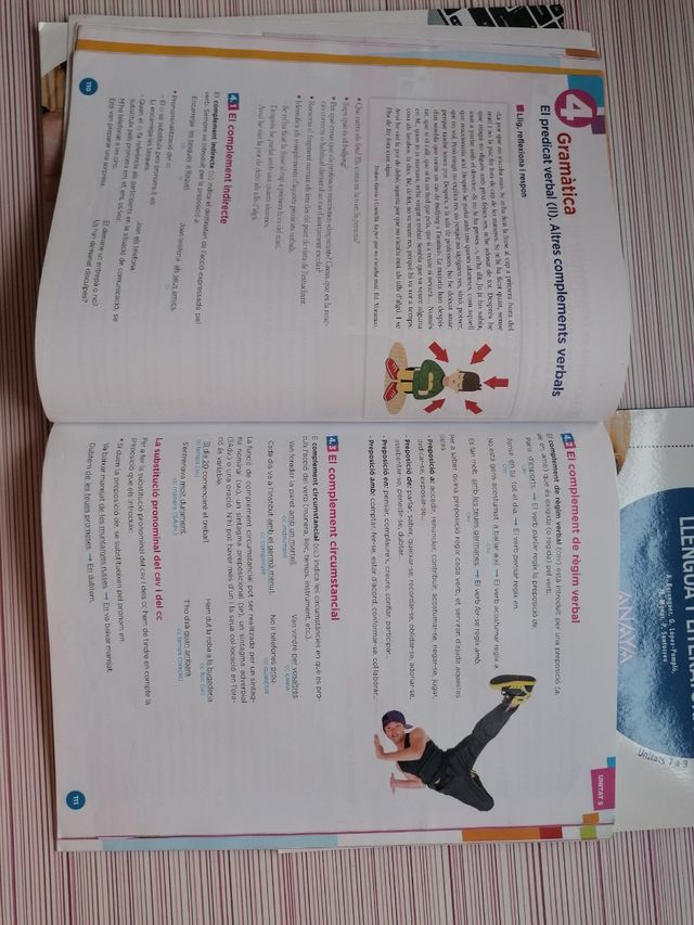 Valencia: llengua i literatura