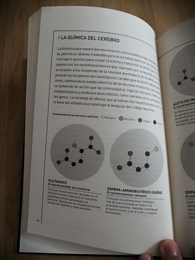 Libro El Cerebro.