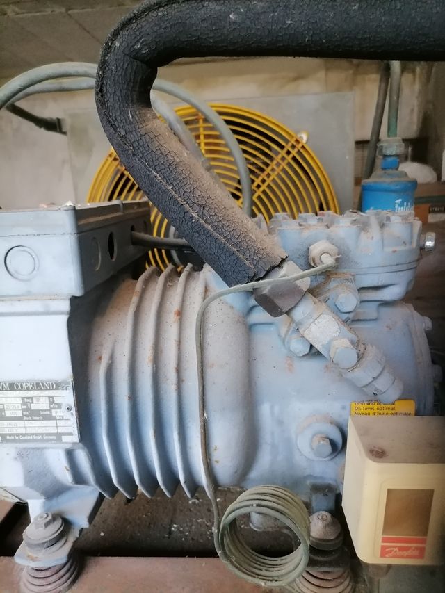 motor cámara frigorifica