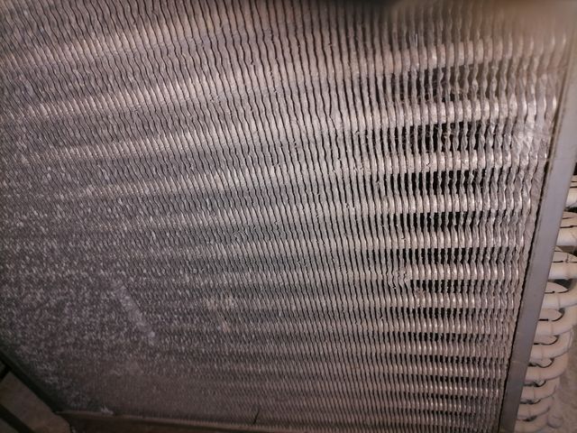 motor cámara frigorifica