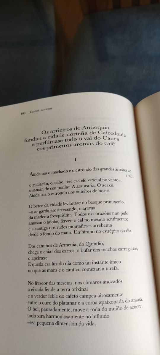 libro de Antón Avilés de Taramancos
