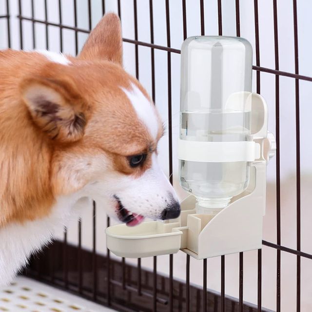 Dispensador de agua para mascotas 500ml