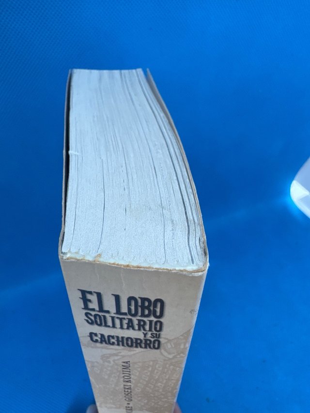 1 El lobo solitario y el cachorro