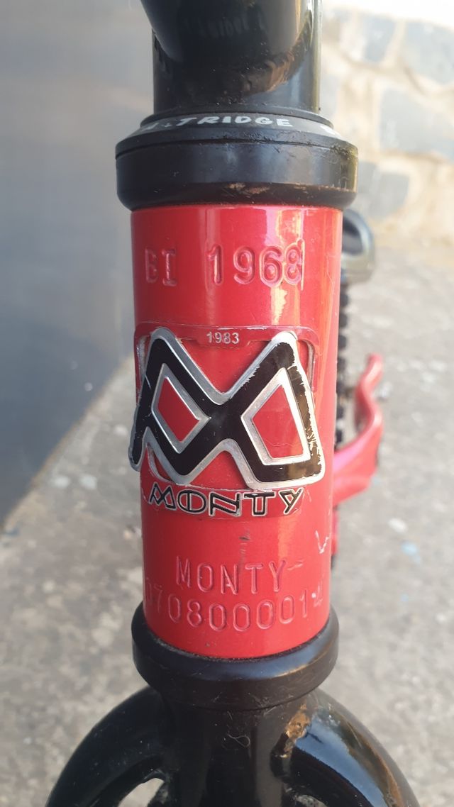 Bicicleta MONTY 