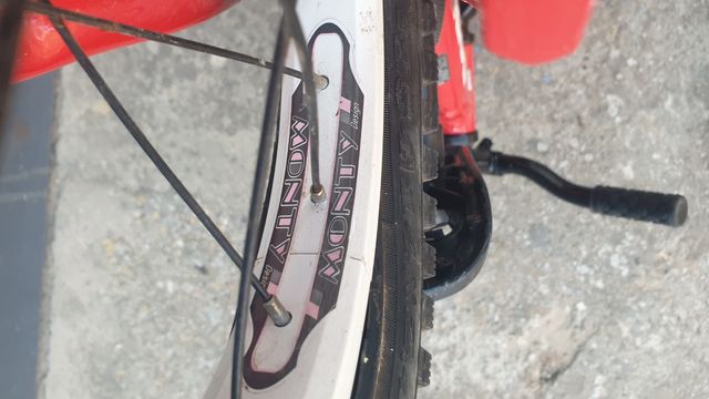 Bicicleta MONTY 