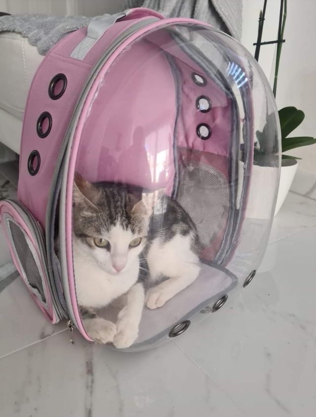 MOCHILA TRANSPARENTE PORTAMASCOTAS ESPECIAL PASEOS