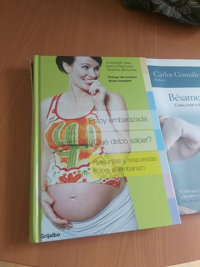 Estoy Embarazada y Bésame Mucho