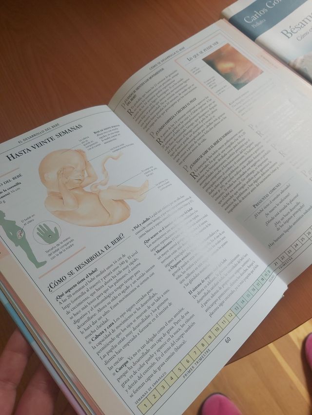 Estoy Embarazada y Bésame Mucho