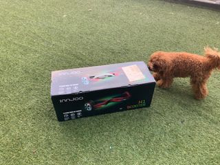 Dos hoverboard
