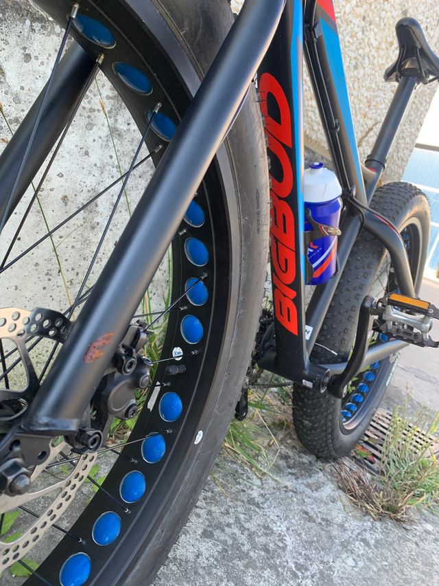 Fat Bike Big Bud BH 