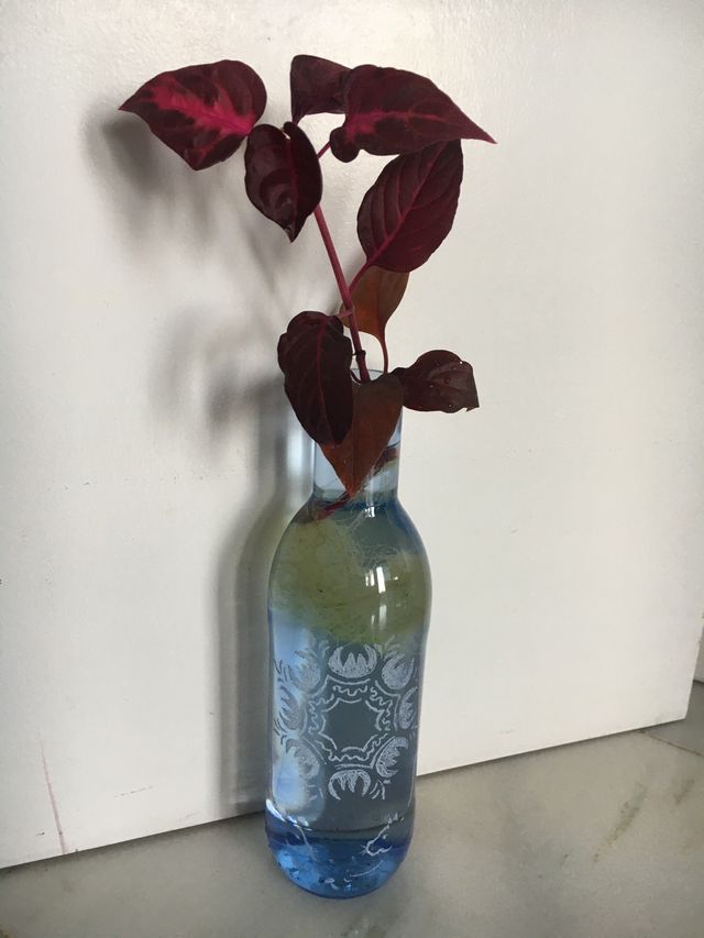 Colio Peluche y jarrón