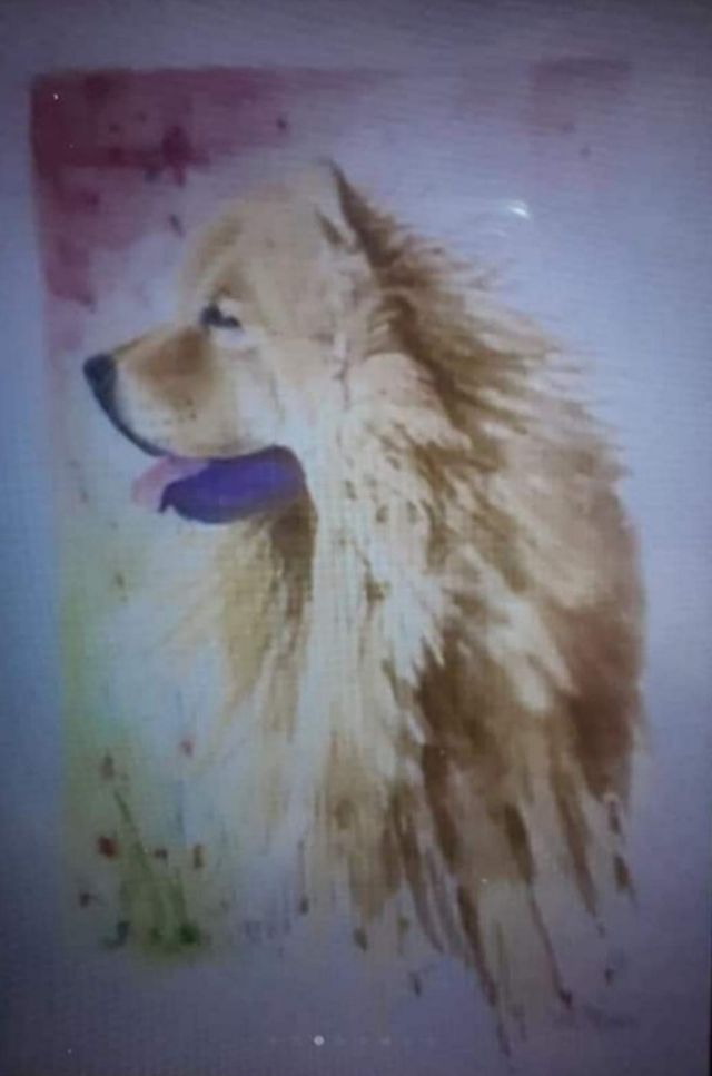 hago los retratos de vuestras mascotas en acuarela