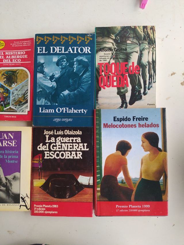Lote libros