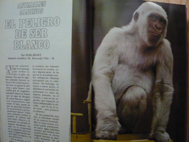 Revista de geografía universal 1977-1980