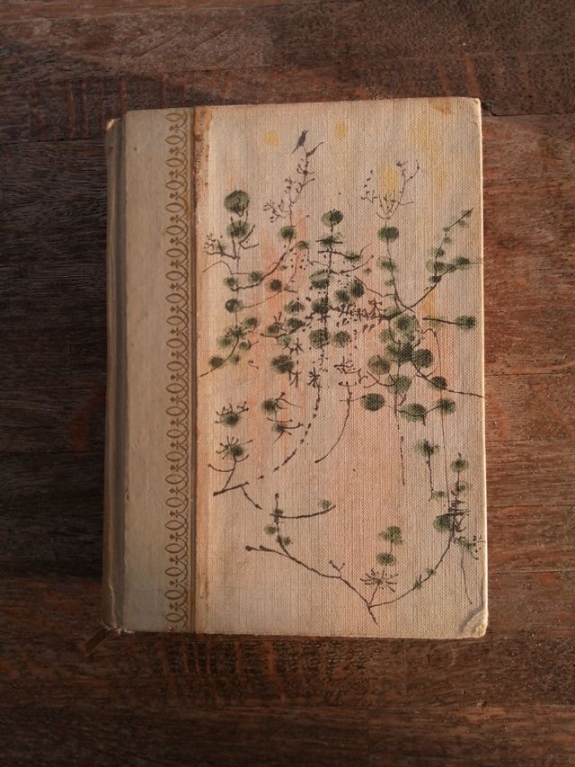 Antiguo libro con preciosas ilustraciones.