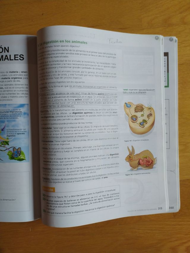 Biología y geología 1°Bachillerato