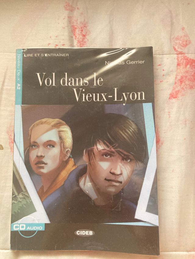 Vol dans le Vieux-Lyon