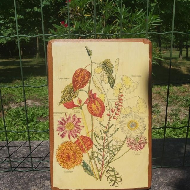 Pannello botanico decorativo découpage