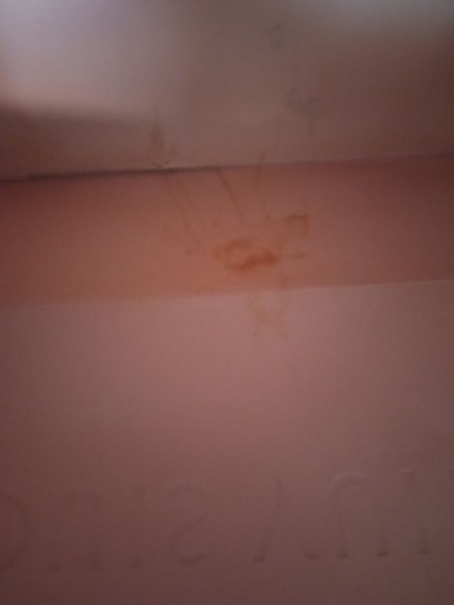 BOLSA LOUIS VUITTON + regalo