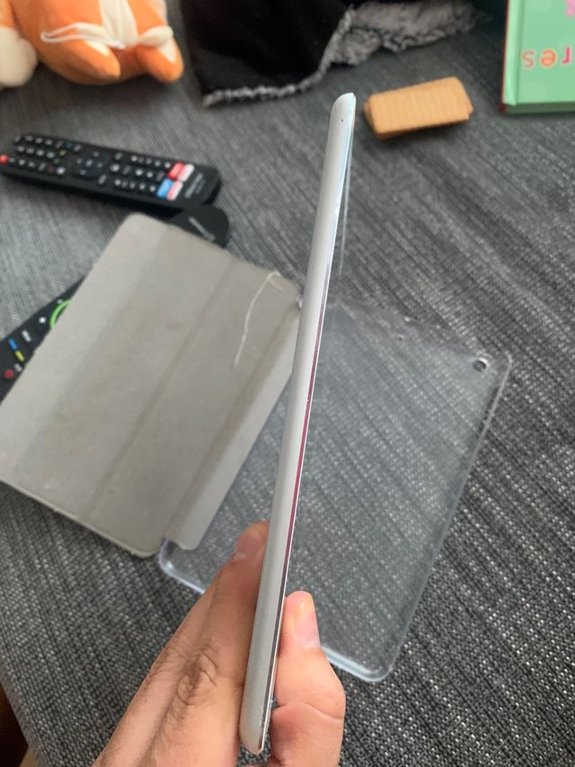 iPad mini