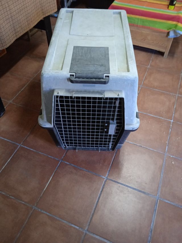 Transportin Grande Atlas 60