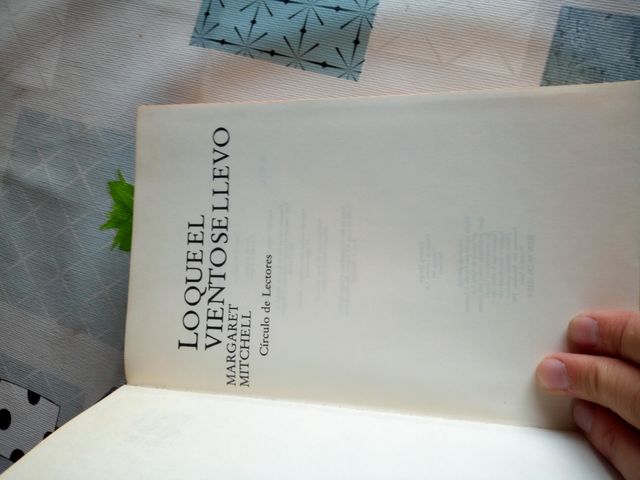 Lo que el viento se llevó