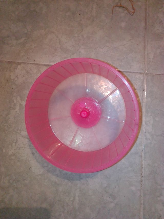 Rueda roedor