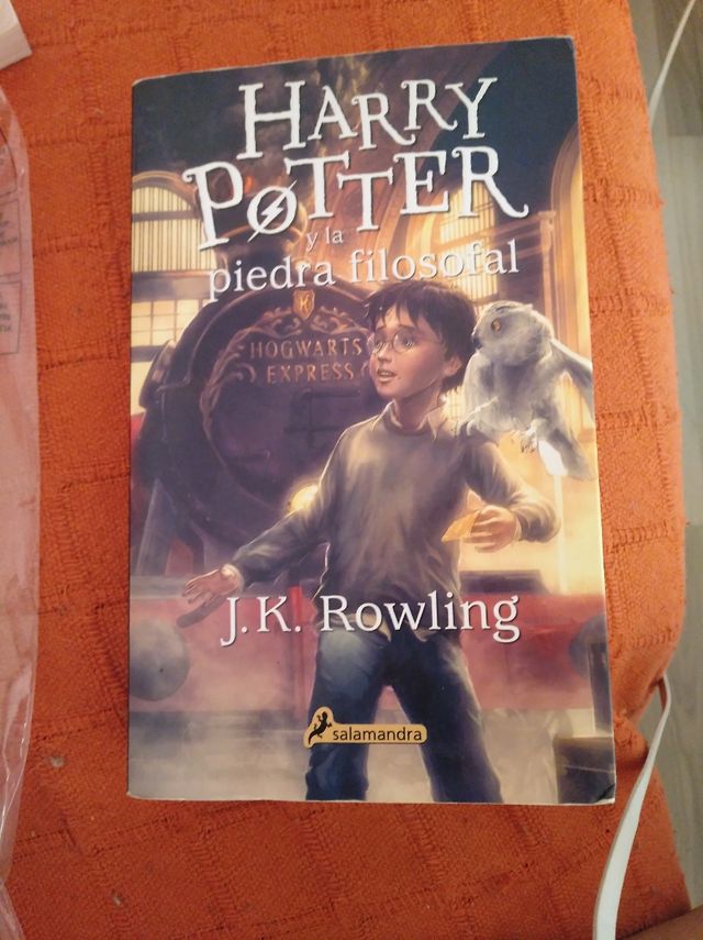 harry potter y la piedra filosofal.