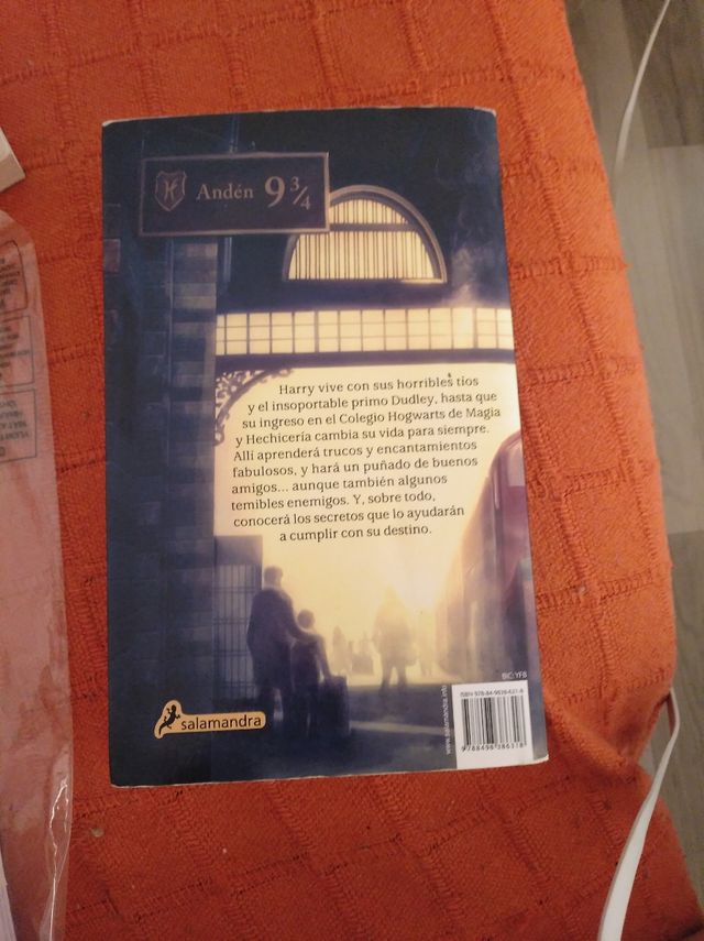 harry potter y la piedra filosofal.