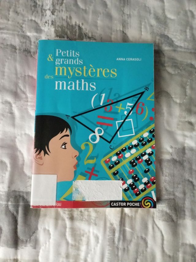 libro de lectura petits grands mysteres maths
