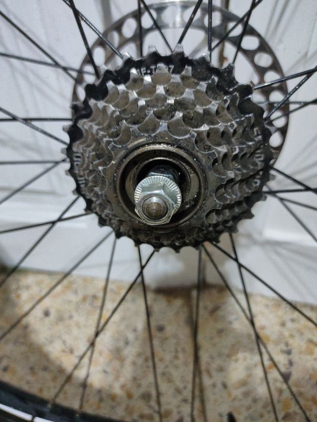 rueda trasera 29 pulgadas