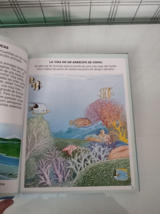 Diccionario por imágenes del mar