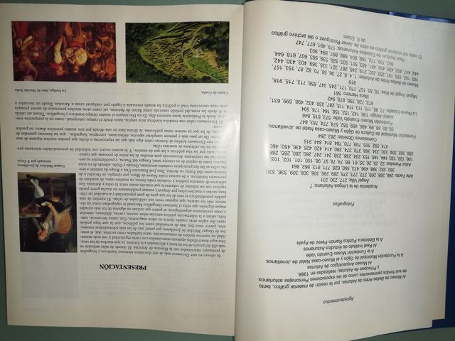 DICCIONARIO HISTORICO DE ASTURIAS