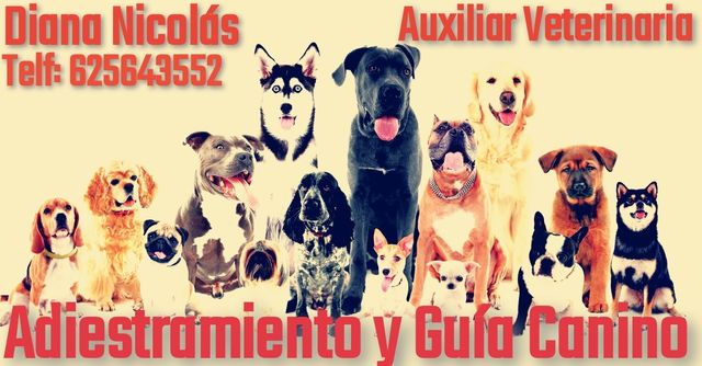 Adiestramiento-Guia Canino - Auxiliar Veterinaria
