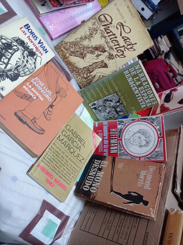 libros lote temática narrativa literatura novelas