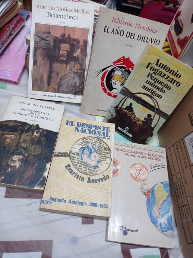 libros lote temática narrativa literatura novelas