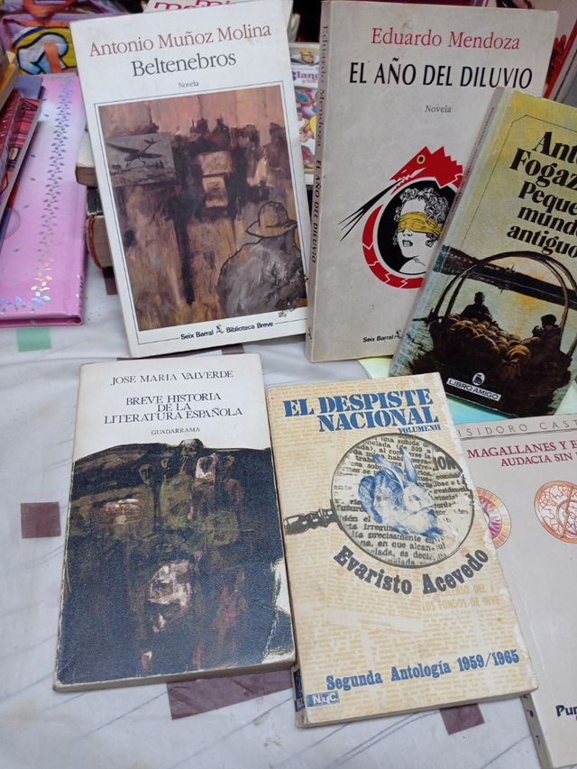 libros lote temática narrativa literatura novelas