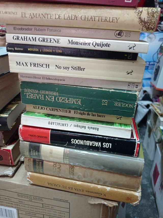 libros lote temática narrativa literatura novelas