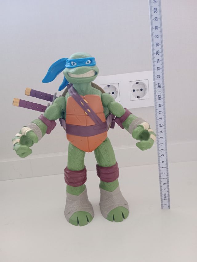 Teenage Mutant Ninja Turtle