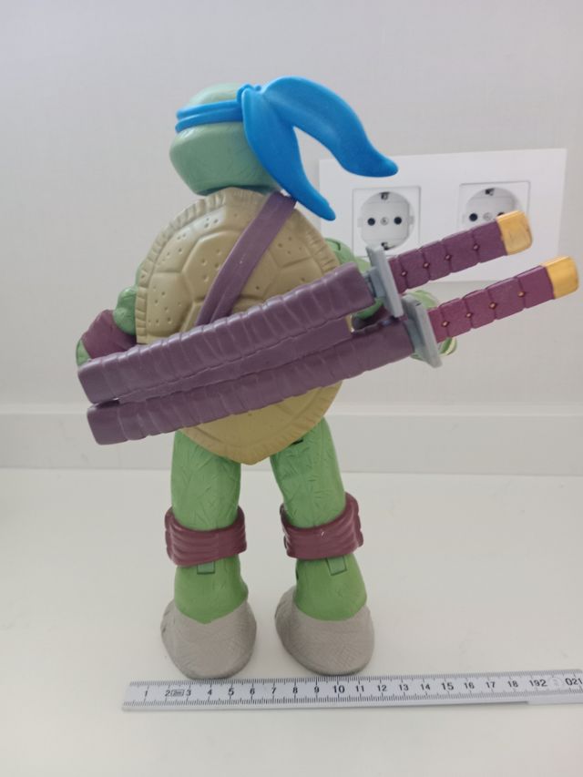 Teenage Mutant Ninja Turtle
