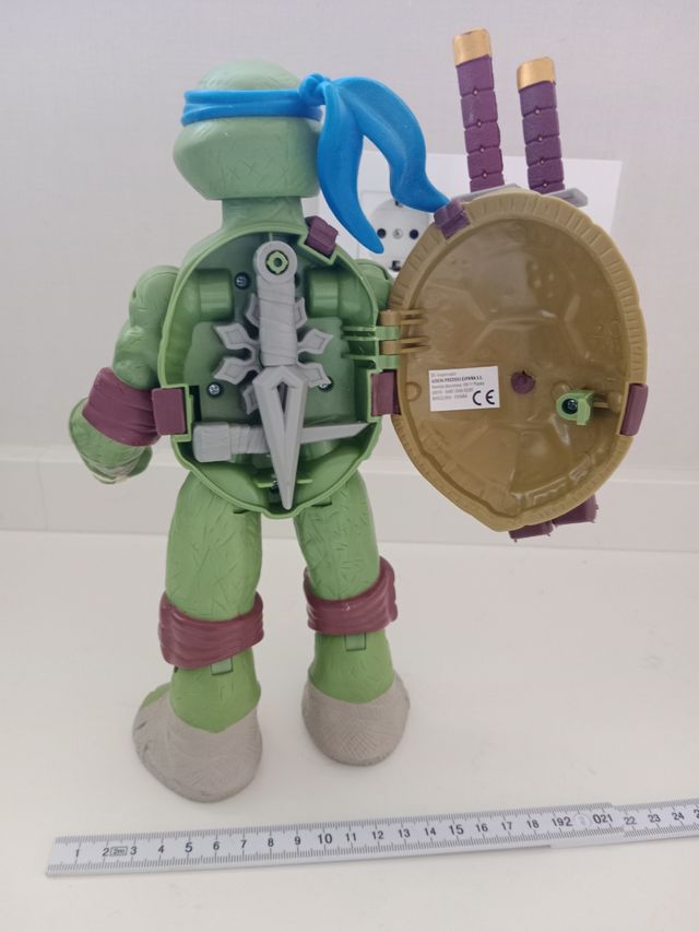 Teenage Mutant Ninja Turtle