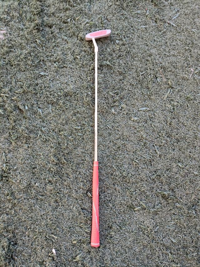 Palos de golf Inesis