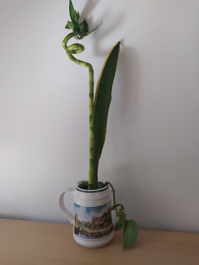 Jarra de cerveza artesanal