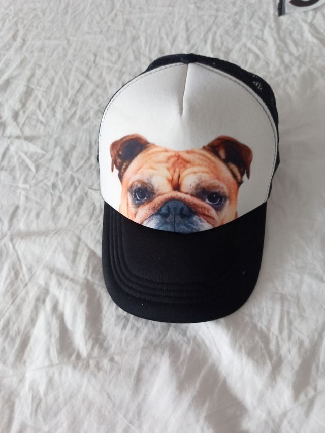REGALO GORRA CON FOTO PERRO  LEER DESCRIPCIÓN