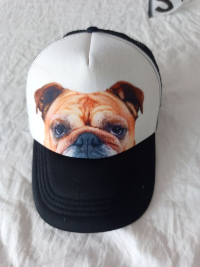 REGALO GORRA CON FOTO PERRO  LEER DESCRIPCIÓN