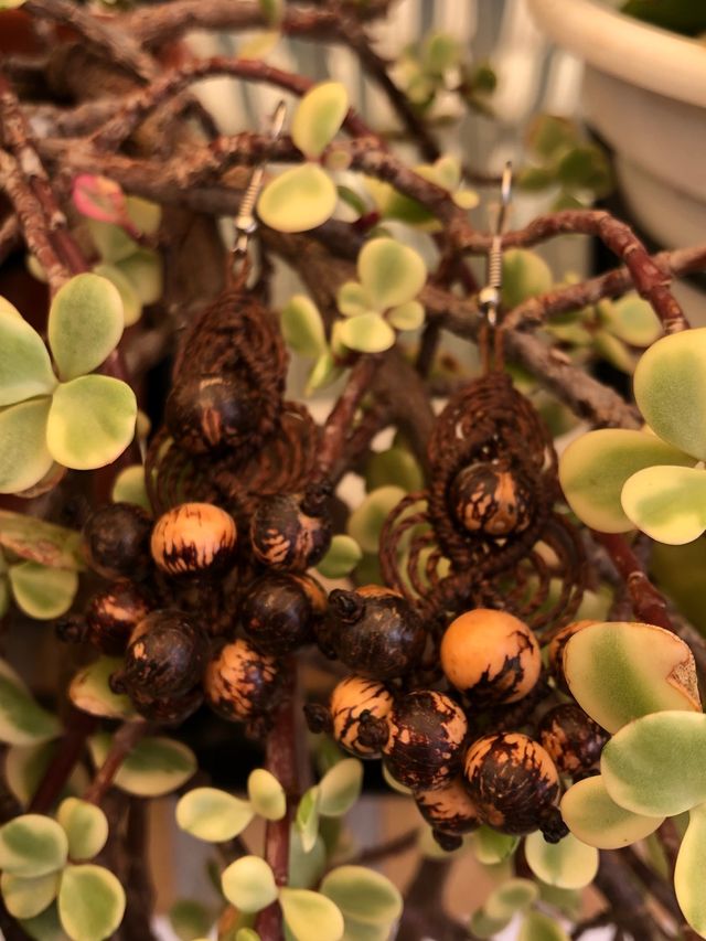 Pendientes macramé de semillas e hilo encerado