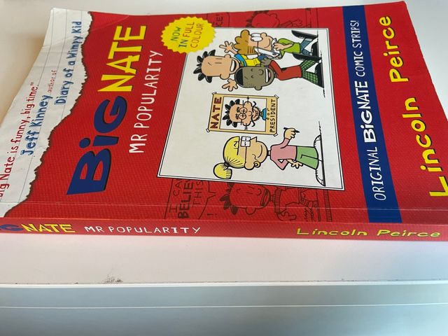 Libro 'BIG NATE Mr popularity' Inglese