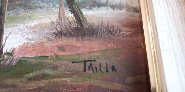 CUADROS DEL PINTOR FRANCISCO TRILLO